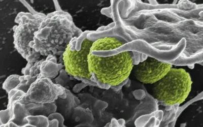 Naturalne rozbijanie biofilmu – klucz do zdrowszego organizmu